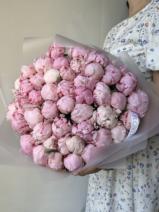 45 розовых пионов