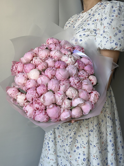 51 розовый пион 51 розовый пион
