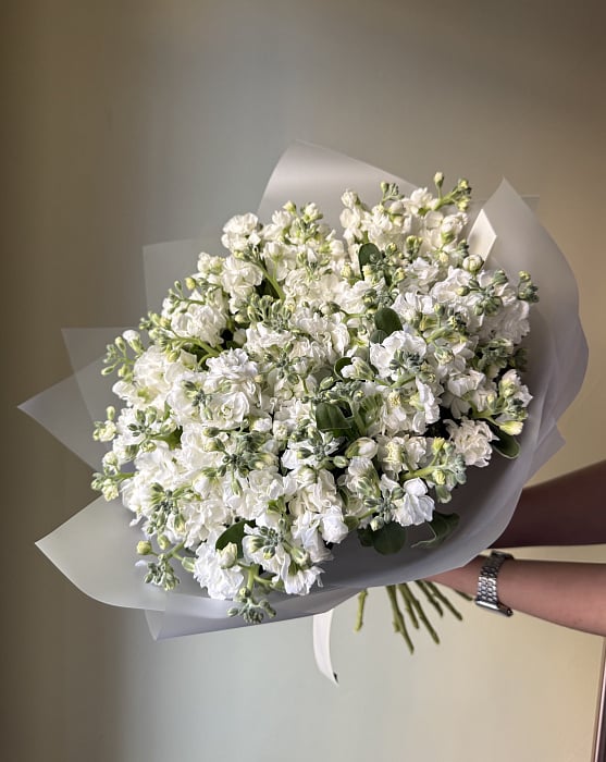 Букет из ароматной маттиолы 