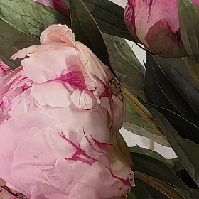 У получателя