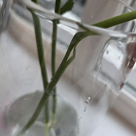 У получателя